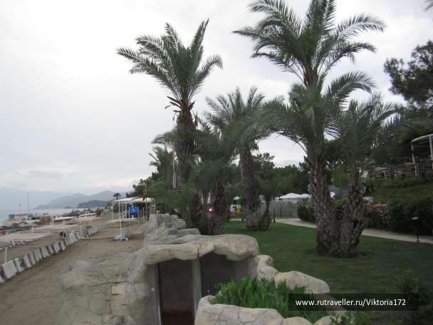 photo 1247986