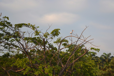 photo 1037791