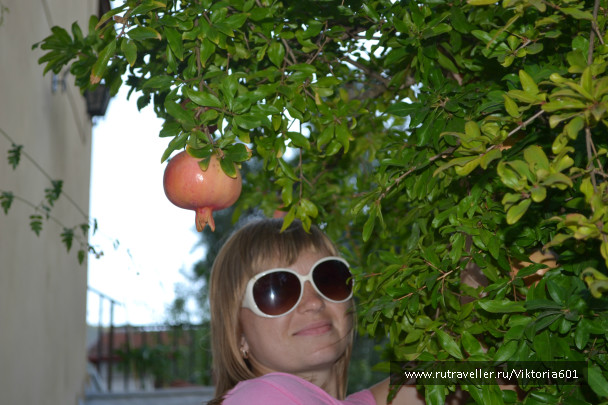 photo 708275