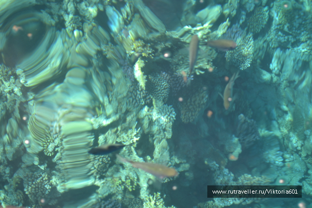 photo 693305