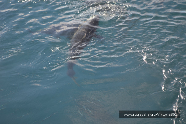 photo 694150
