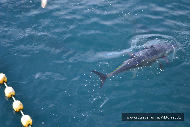 photo 694151