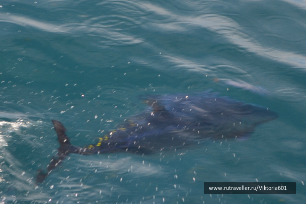 photo 694157