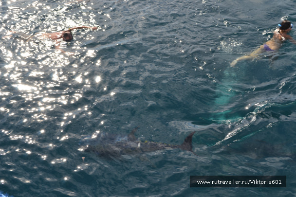 photo 696147