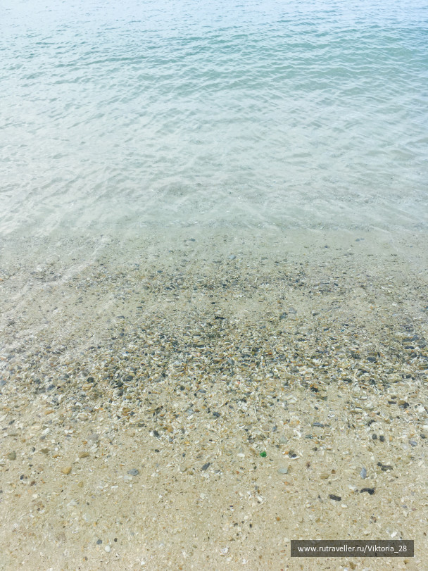 photo 1514409