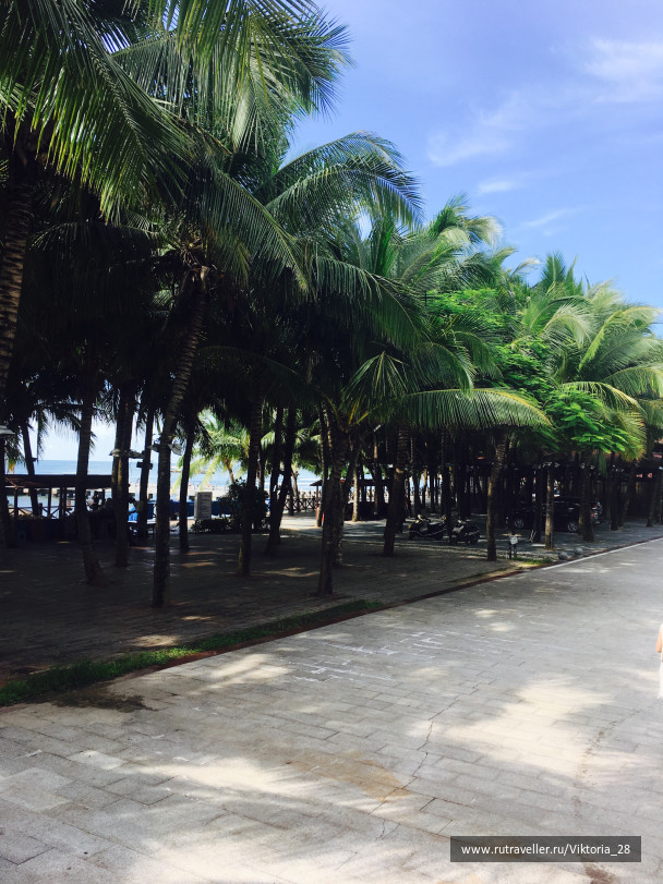 photo 1514411