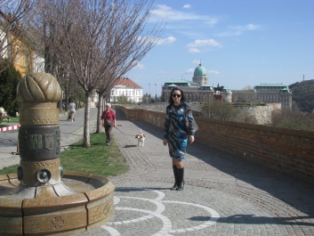 photo 475577