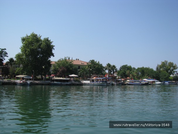 photo 475899