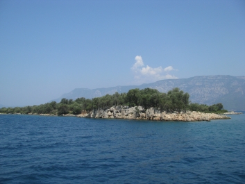 photo 475911