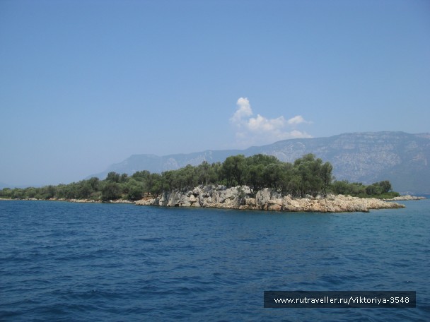 photo 475911