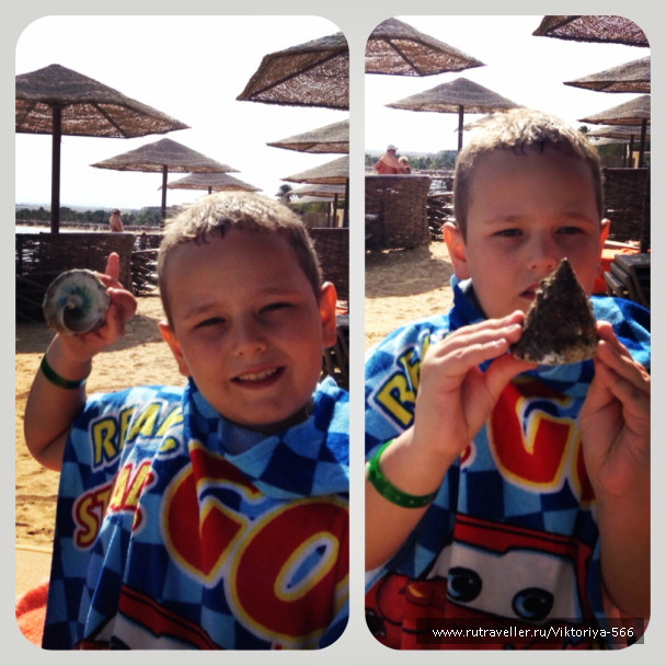 photo 706841