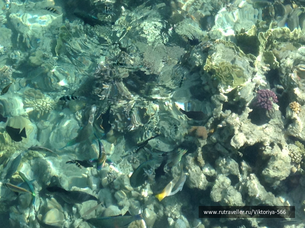 photo 706842