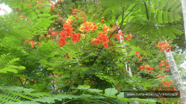 photo 213896