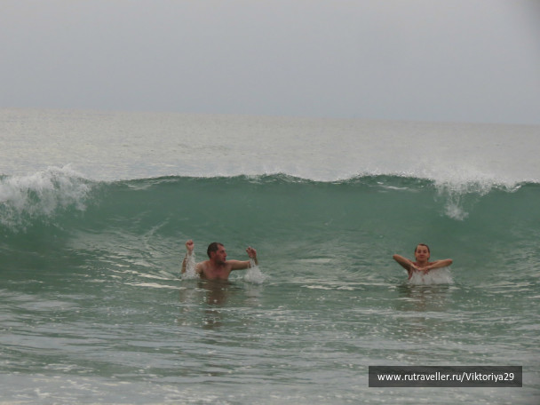 photo 254803