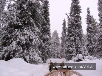 photo 1039544