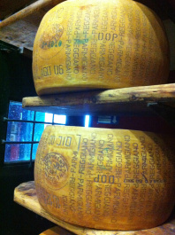 photo 304071