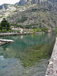 photo 1134125