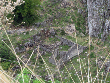 photo 1142528