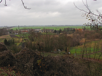 photo 1187974