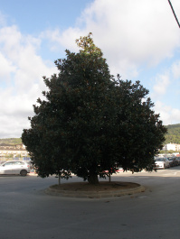 photo 440115