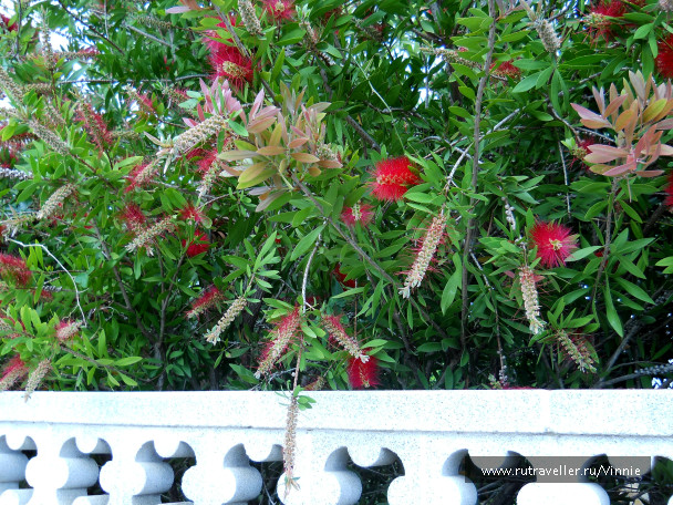 photo 124023