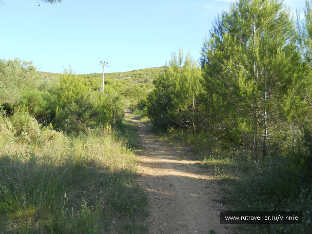 photo 124191