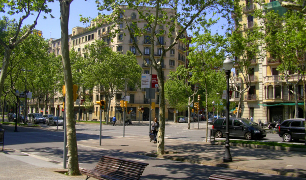 IMGP0535