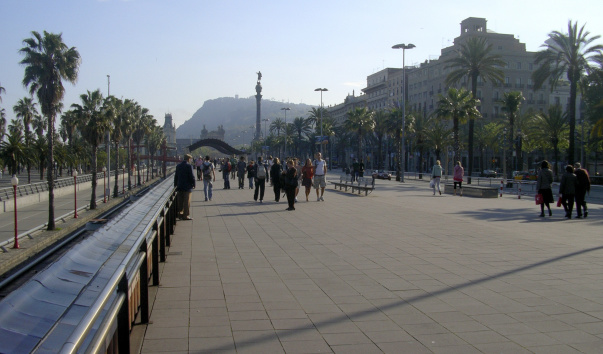 IMGP0572