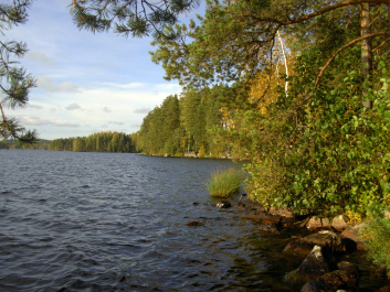 photo 122862