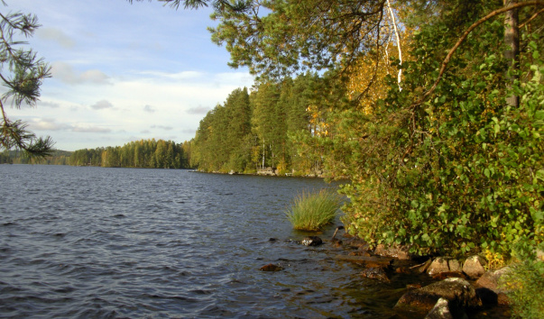 IMGP0264