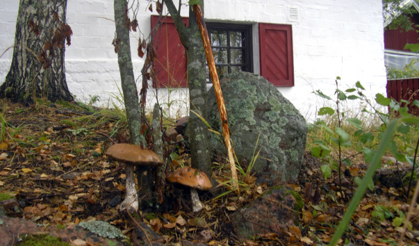 IMGP0341