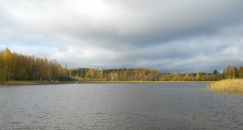 photo 267490
