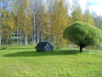 photo 267491