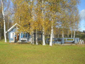 photo 267495