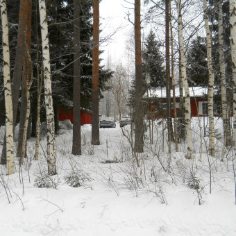 Финляндия, Париккала, зима 2013