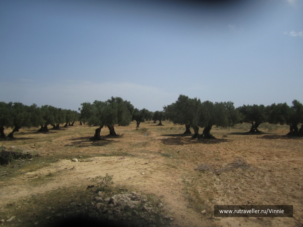 photo 754074