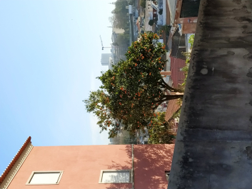 photo 1862841