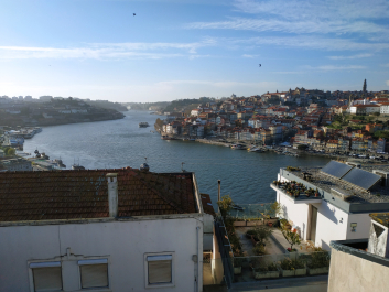 photo 1862845