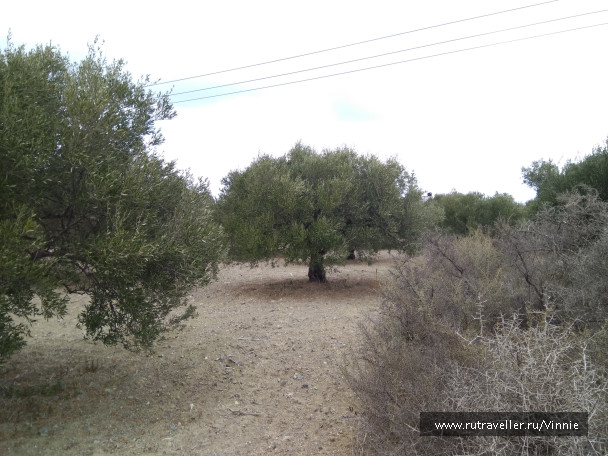 photo 1695853