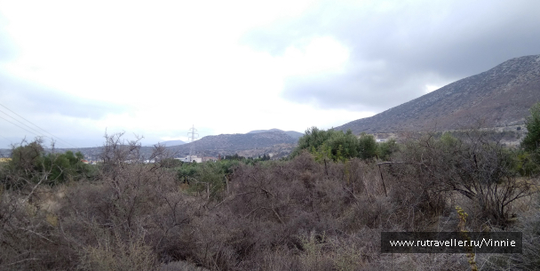 photo 1695854