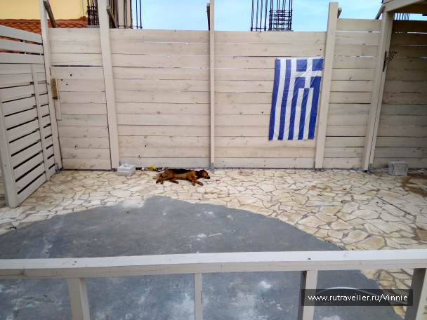 photo 1695913