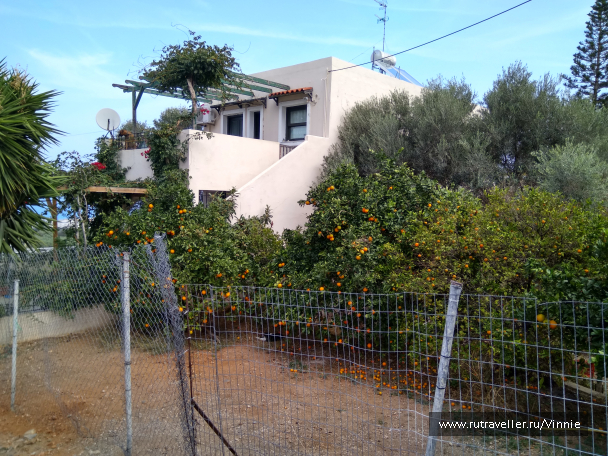 photo 1695915