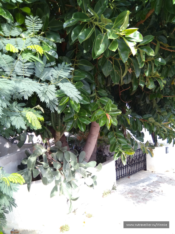 photo 1695921