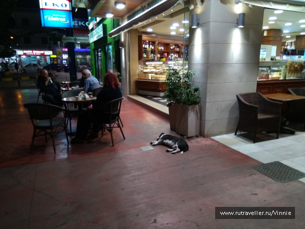 photo 1695934