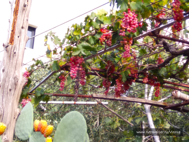 photo 1695935