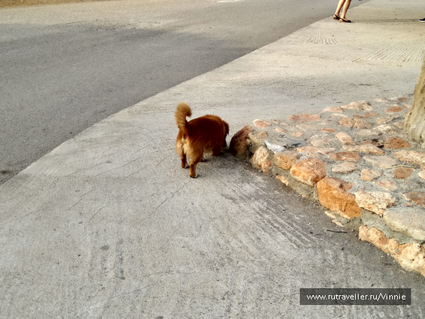 photo 1695938