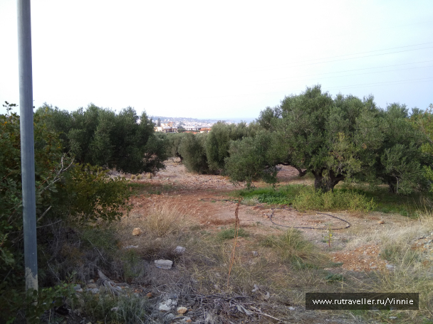 photo 1695945