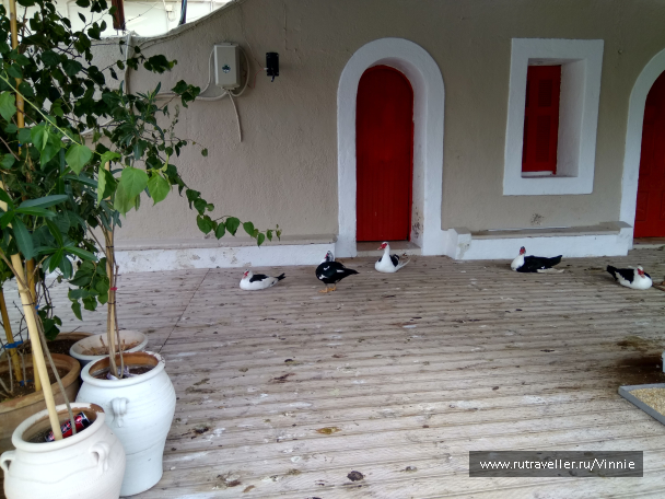 photo 1695976