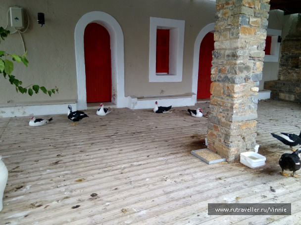 photo 1695977