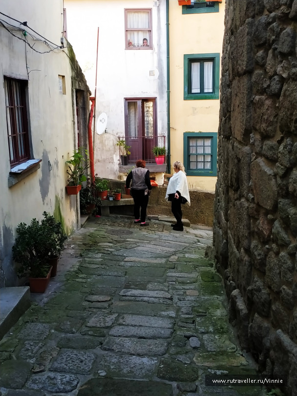photo 1861079